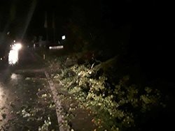 Silný vítr zaměstnal hasiče i v Olomouckém kraji.